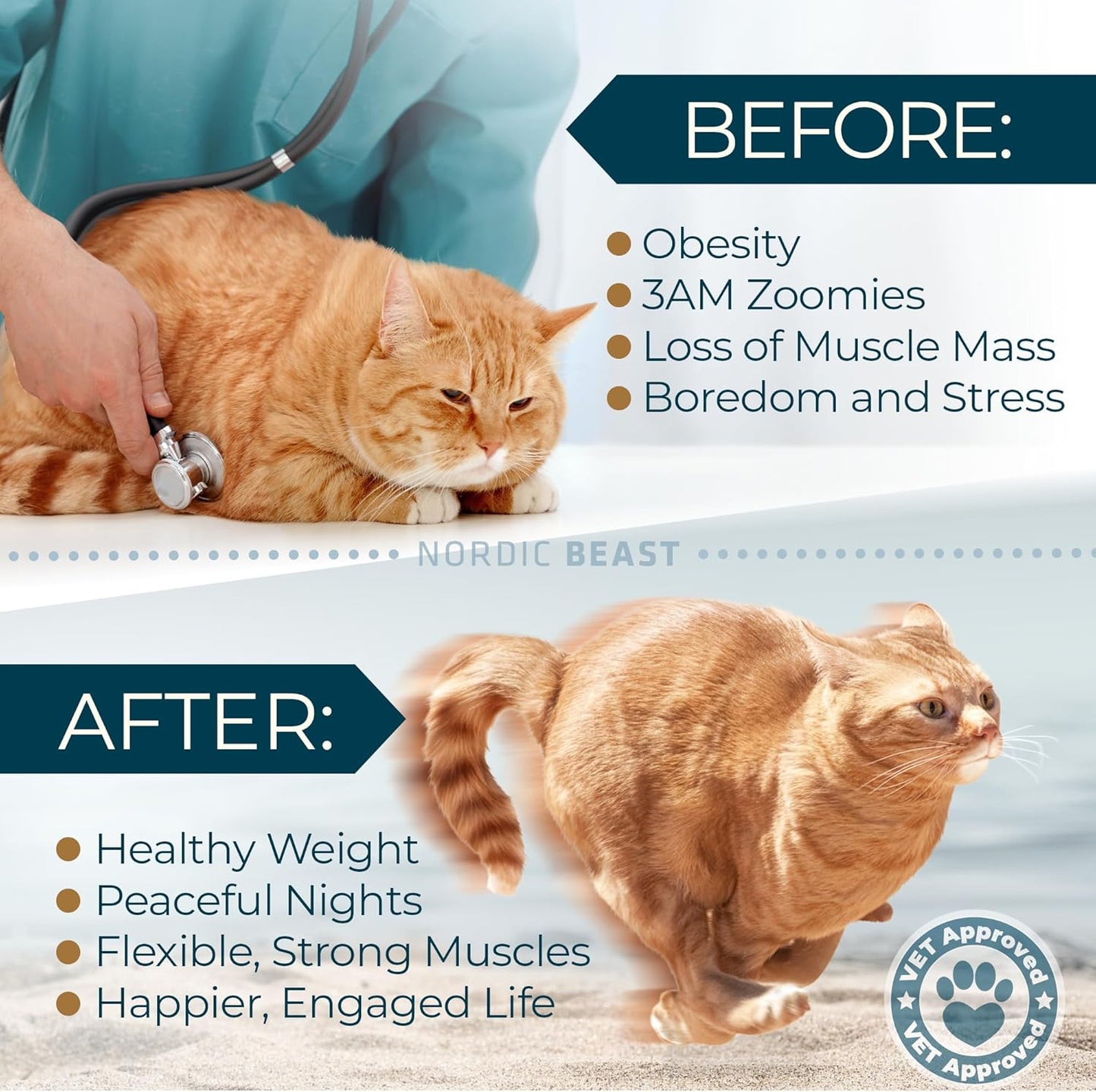 Nordic Beast Cat Wheel — Built for Large, High Energy Indoor Cats