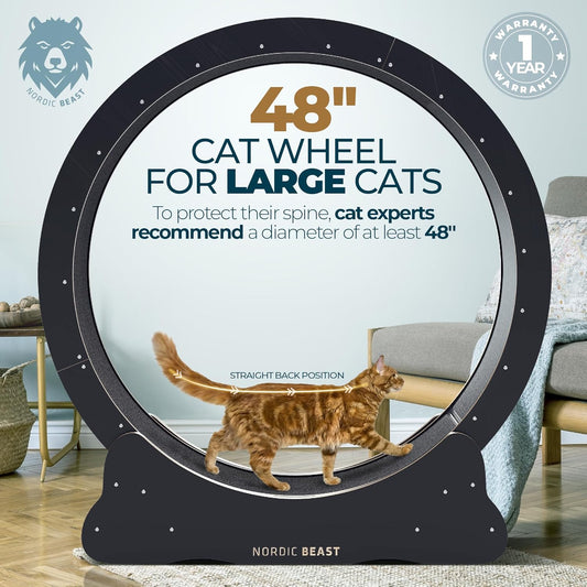 Nordic Beast Cat Wheel — Built for Large, High Energy Indoor Cats